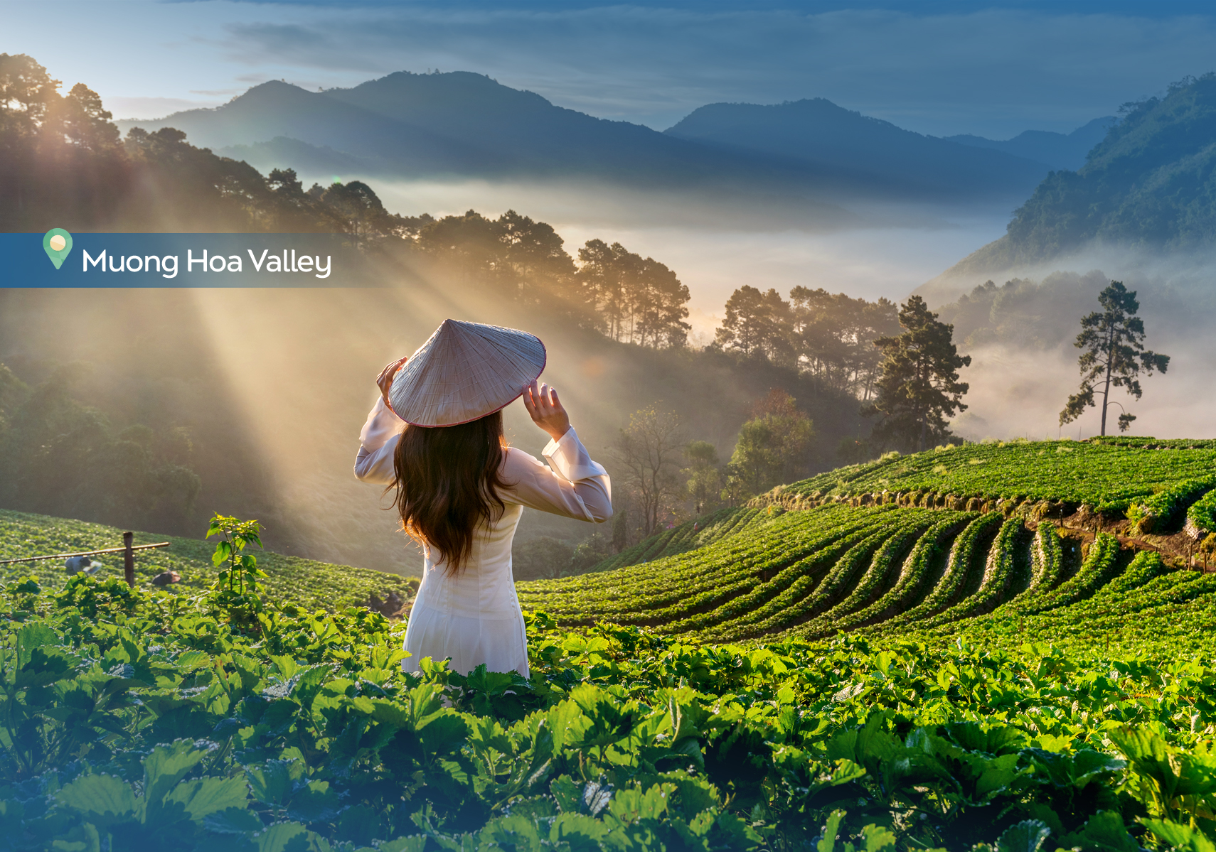 template_thumbnail1200X1710