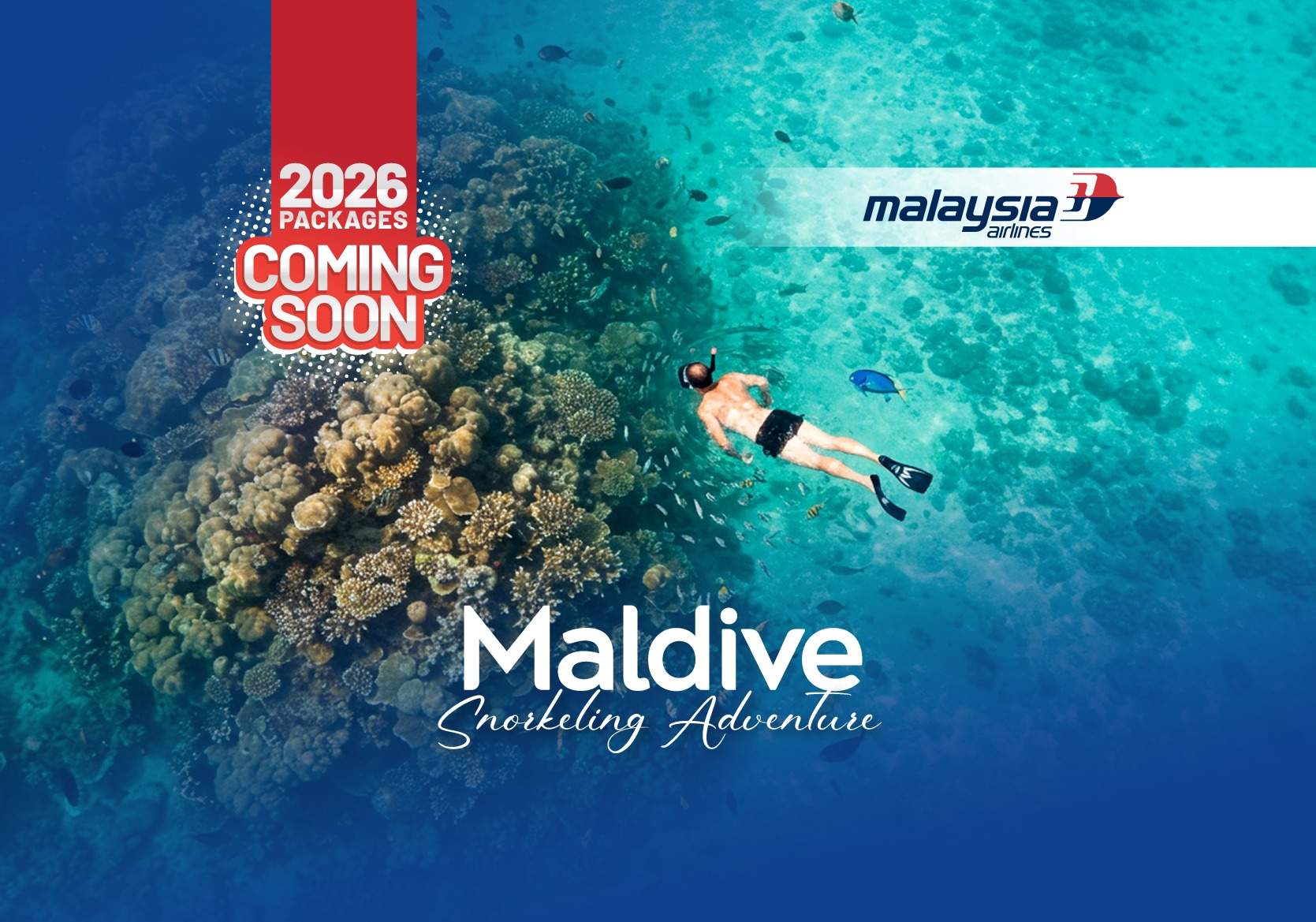 NEW02_thumbnail_cover_