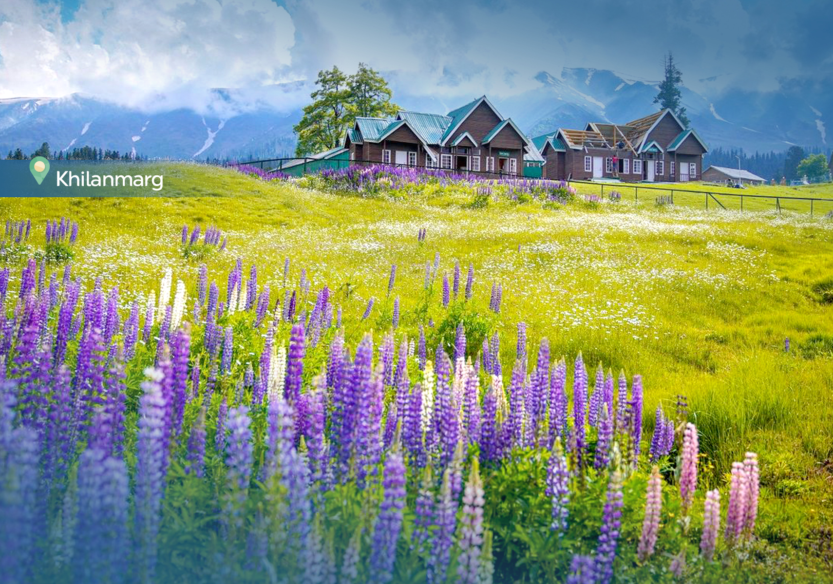 template_thumbnail1200X1710