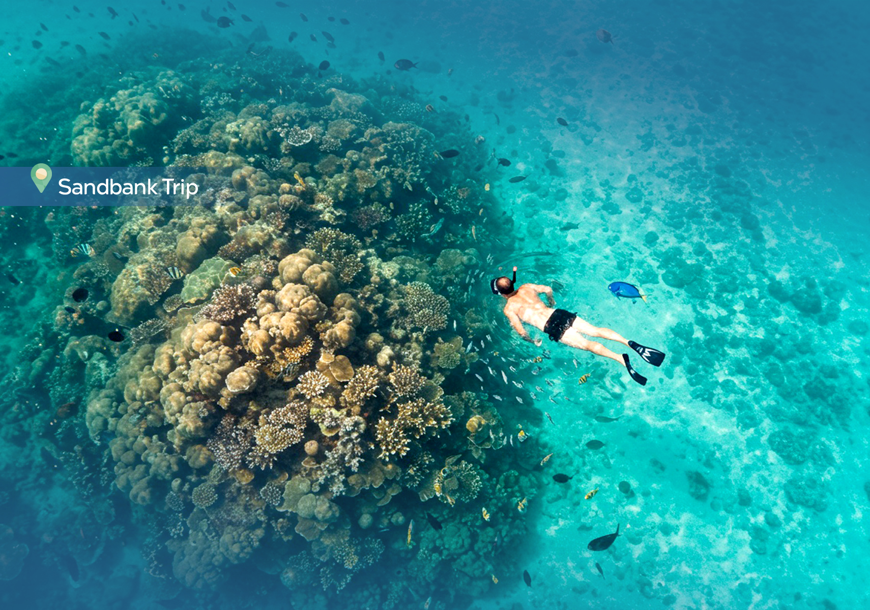 template_thumbnail1200X1710