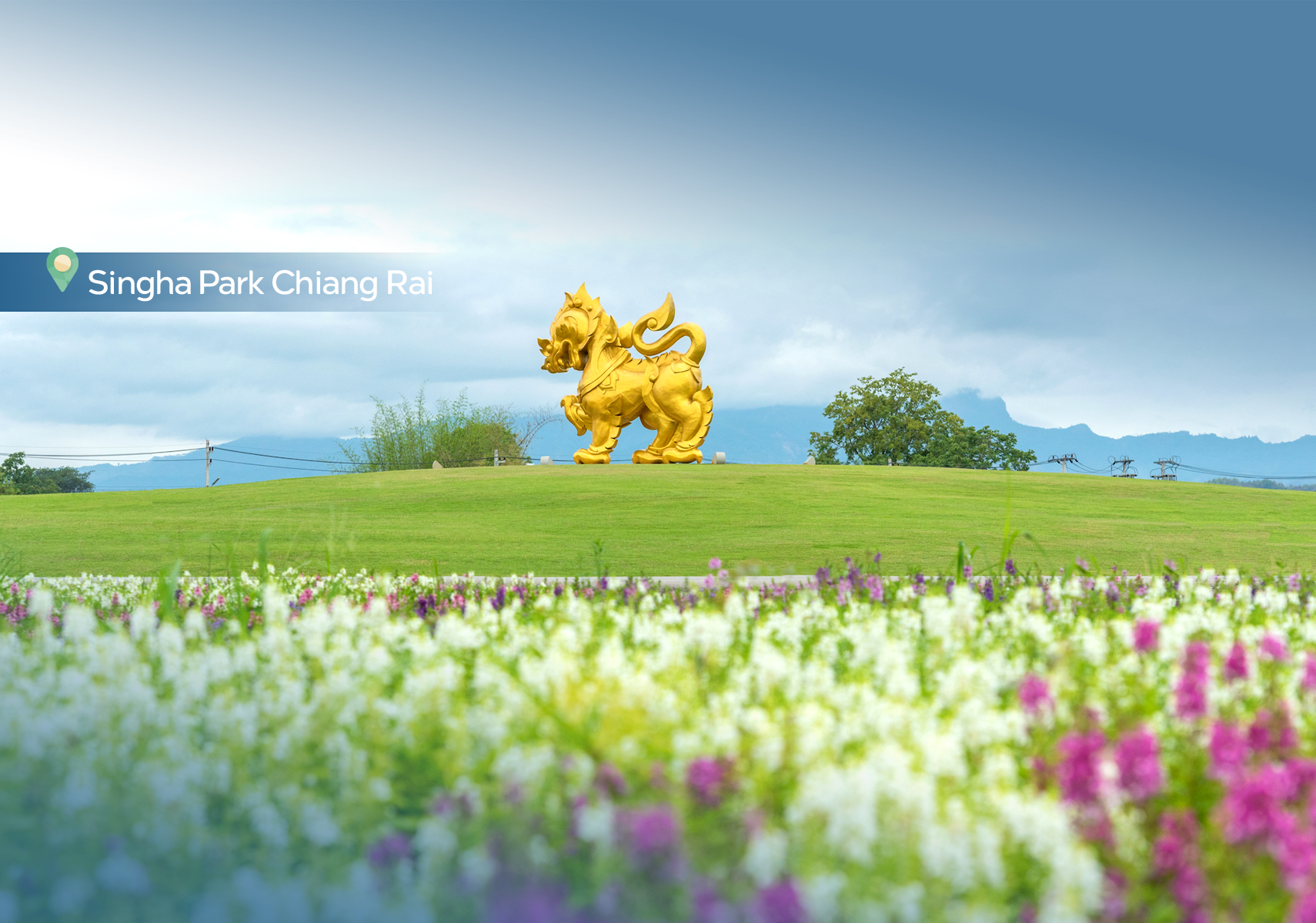 template_thumbnail1200X1710